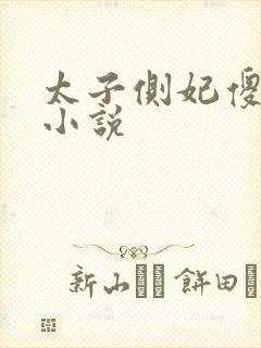 太子侧妃傻乎乎小说