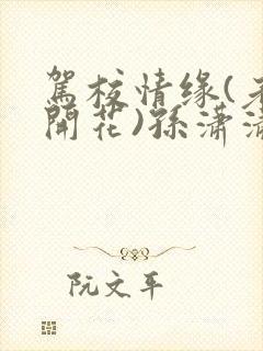 驾校情缘(老树开花)孙潇潇第一次趣笔阁封面