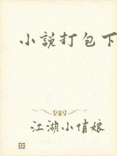 小说打包下载
