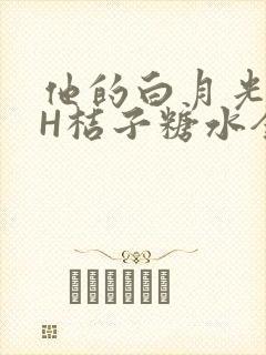 他的白月光HVH桔子糖水全文