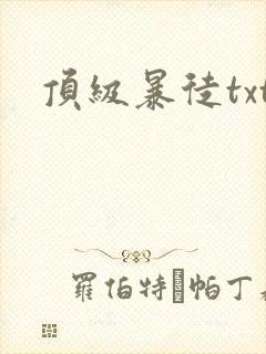 顶级暴徒txt