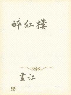 醉红楼