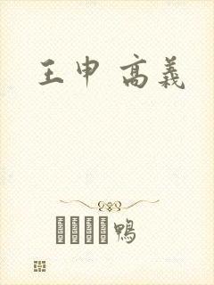 王申 高义