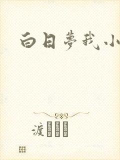 白日梦我小说