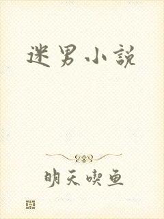迷男小说