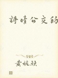 诗晴公交的小说封面