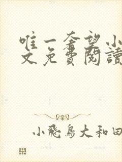 唯一奢望小说全文免费阅读