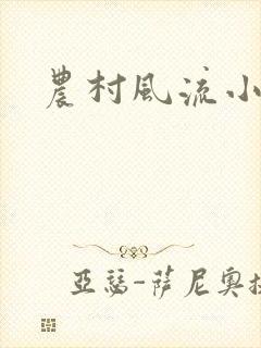 农村风流小说