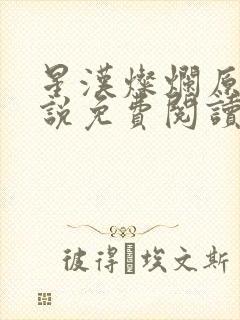 星汉灿烂原著小说免费阅读封面