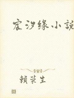 宸汐缘小说