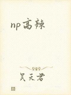 np高辣