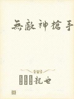无敌神枪手封面