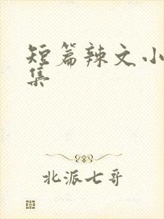 短篇辣文小说合集