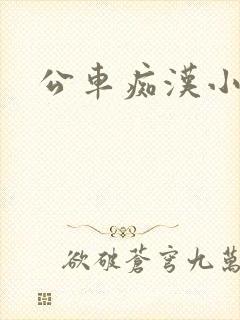 公车痴汉小说