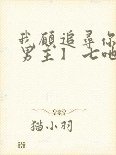 我愿追寻你【双男主】 七吔封面