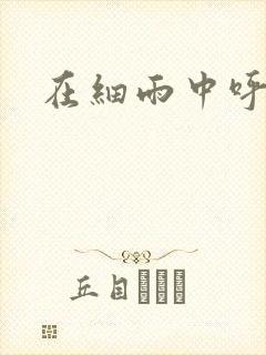 在细雨中呼喊