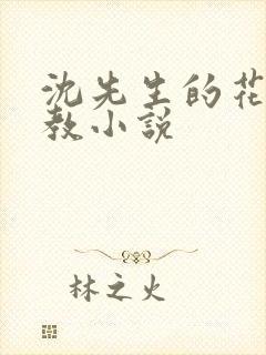 沈先生的花式调教小说