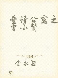 爱情公寓之极品曾小贤