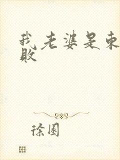 我老婆是东方不败