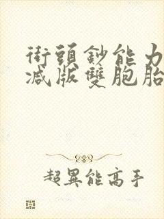 街头钞能力无删减版双胞胎