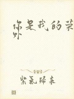 你是我的荣耀番外