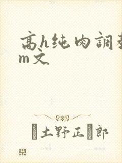 高h纯肉调教sm文