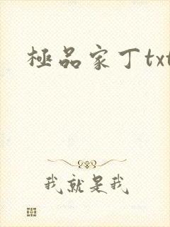 极品家丁txt