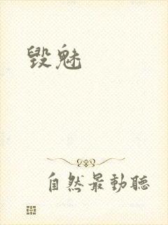 毁魅封面