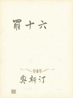 罗十六
