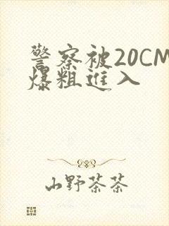 警察被20CM爆粗进入封面