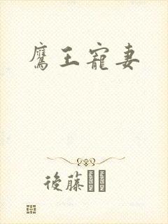 鹰王宠妻