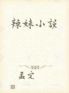 辣妹小说
