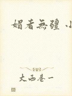 媚者无疆 小说