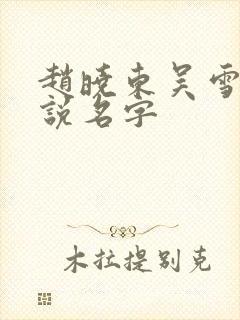 赵晓东吴雪晴小说名字