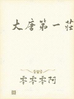 大唐第一庄