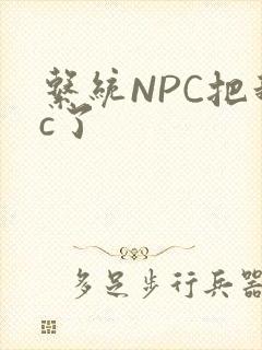 系统NPC把我c了