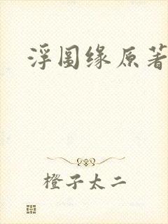 浮图缘原著小说封面