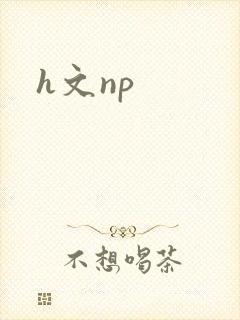h文np封面