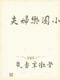 夫妇乐园小说