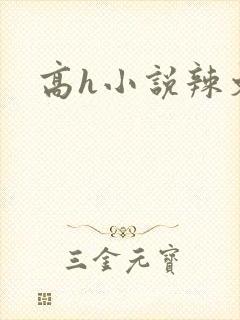 高h小说辣文封面