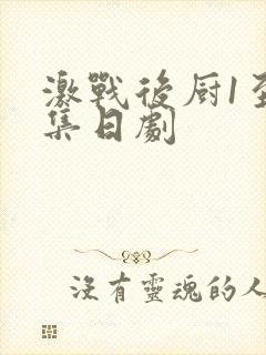 激战后厨1至5集日剧