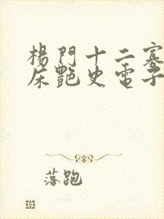 杨门十二寡妇肉床艳史电子书