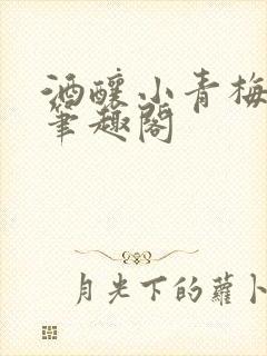 酒酿小青梅po笔趣阁封面
