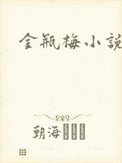 金瓶梅小说封面