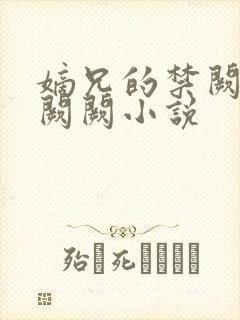 嫡兄的禁阙 华阙阙小说封面