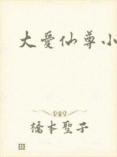 大爱仙尊小说