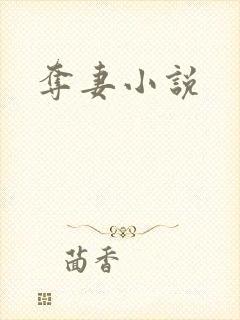 夺妻小说