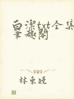 白洁txt全集笔趣阁封面