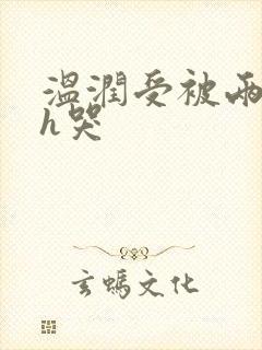 温润受被两个攻h哭封面