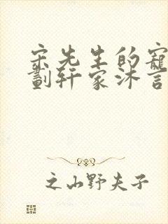 宋先生的宠妻计划轩家沐言封面